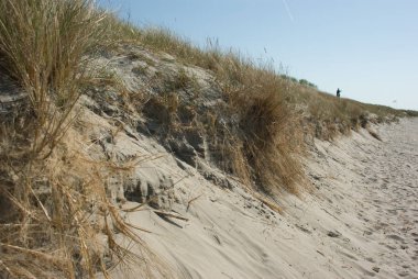 Baltık Denizi ve dunes, Baltiysk, Kaliningrad bölgesi, Rusya Federasyonu, 09 Mayıs 2008 güçlendirmek için yol kıyısında görünümünü