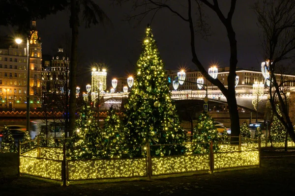 Árboles Navidad Parque Zaryadye Moscú Federación Rusa Enero 2020 — Foto de Stock