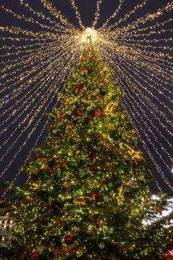 Manege Meydanı 'ndaki Noel ağacı, Moskova, Rusya Federasyonu, 10 Ocak 2020