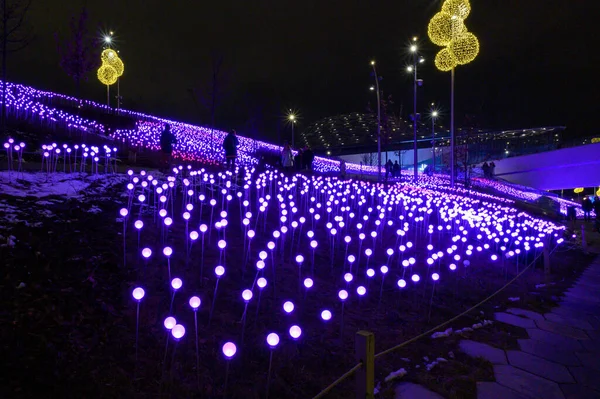 Neujahrs Und Weihnachtsschmuck Zaryadye Park Moskau Russische Föderation Januar 2020 — Stockfoto