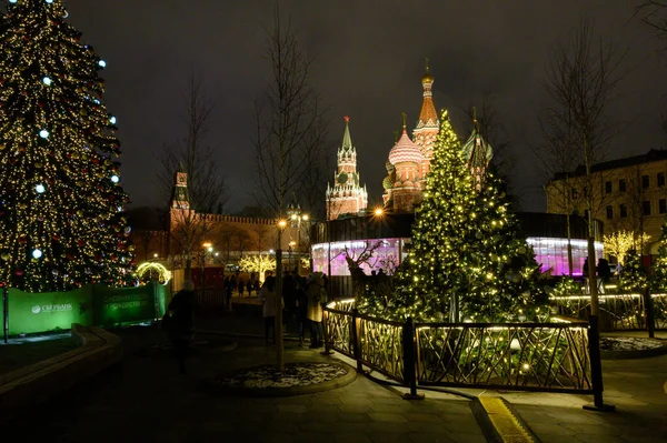 Новогодние Елки Парке Зарядье Москва Российская Федерация Января 2020 Года — стоковое фото