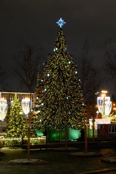 Arbres Noël Dans Parc Zaryadye Moscou Fédération Russie Janvier 2020 — Photo