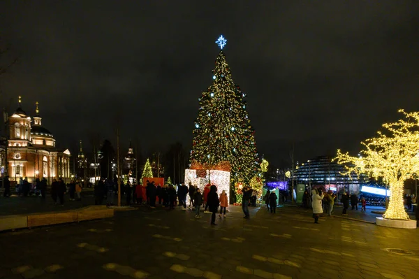Decoraciones Año Nuevo Navidad Parque Zaryadye Moscú Federación Rusa Enero — Foto de Stock