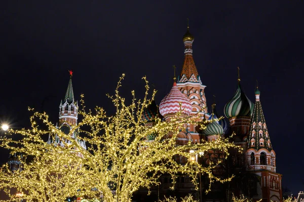 Nieuwjaar Kerststemming Het Zaryadye Park Moskou Russische Federatie Januari 2020 — Stockfoto