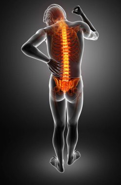 Sırt ağrısı duygu erkek