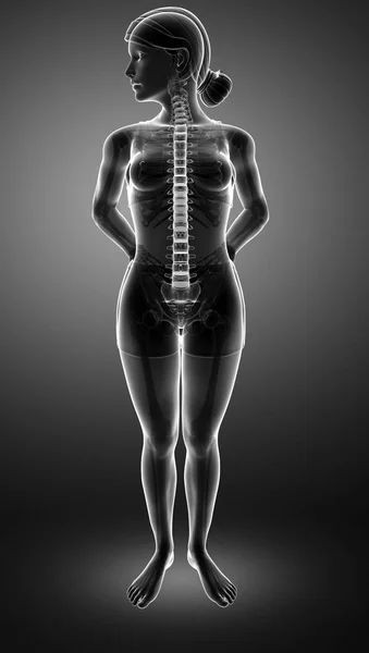 Frauen spüren Rückenschmerzen — Stockfoto