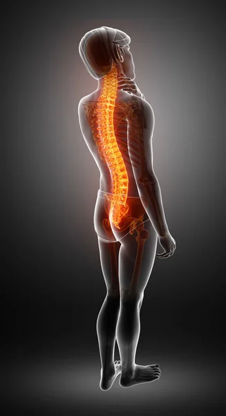 Masculino sentindo a dor nas costas — Fotografia de Stock