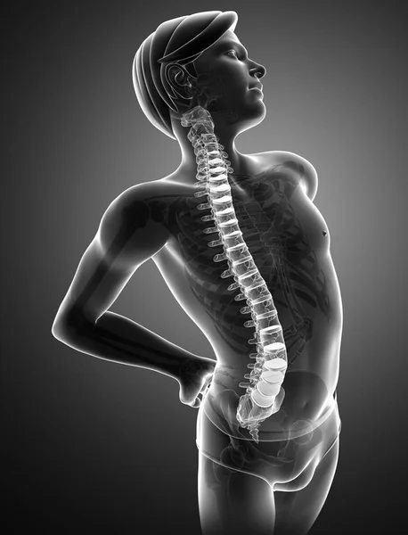 Male Feeling the back pain — Stock Photo, Image