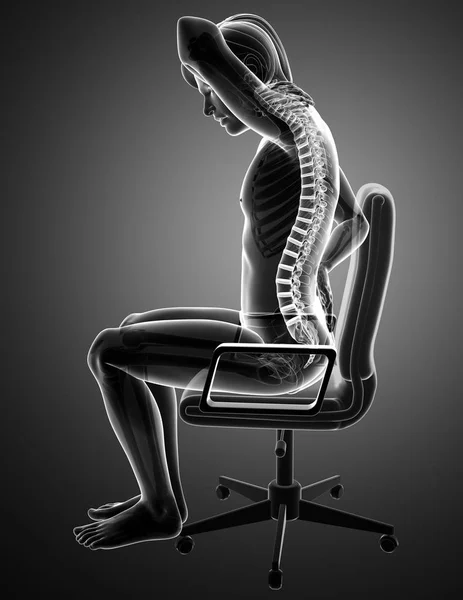 14,500+ Spine Posture Stock Photos, Pictures & Royalty-Free Images - iStock