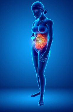 Mide ağrısı hissediyor kadın