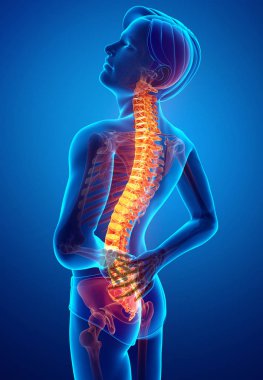 Sırt ağrısı duygu erkek