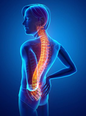 Sırt ağrısı duygu erkek