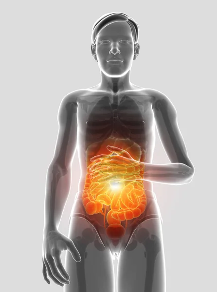 3D obrázek muže pocit žaludku — Stock fotografie