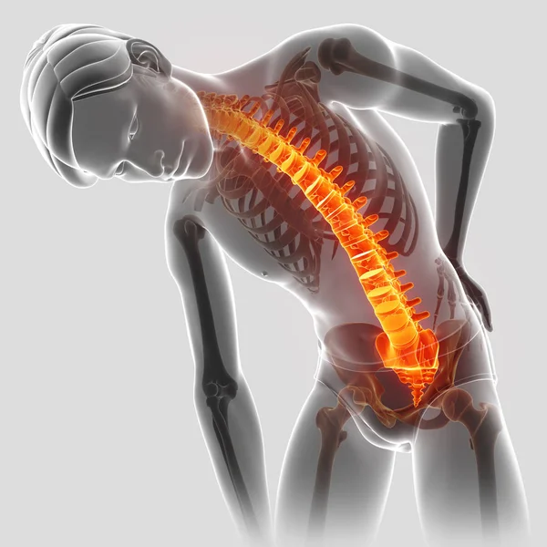 3D Illustrazione del maschio Sensazione di mal di schiena — Foto Stock