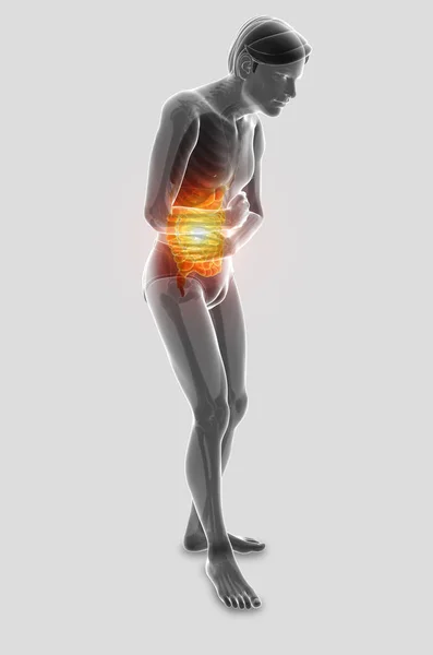 3D απεικόνιση του αρσενικού που αισθάνονται το στομάχι — Φωτογραφία Αρχείου