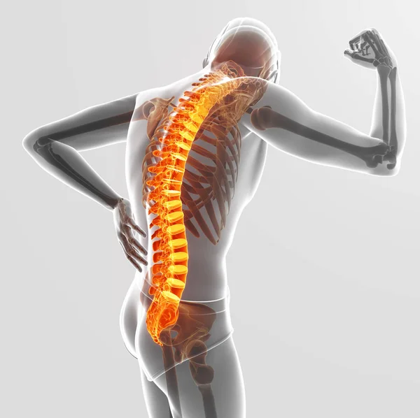 3D ilustracja mężczyzna czuje ból pleców — Zdjęcie stockowe