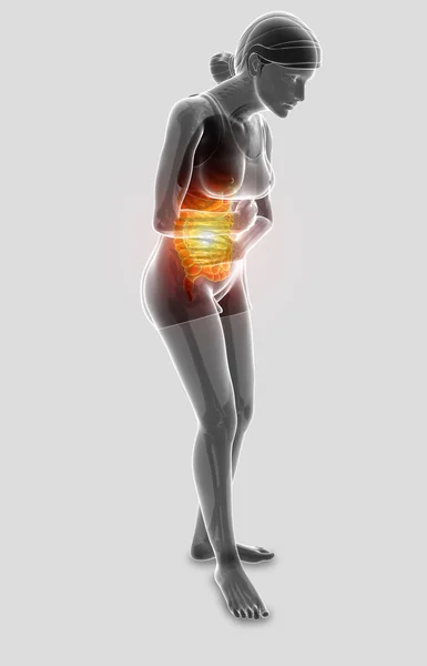 3D obrázek ženy pocit žaludku — Stock fotografie