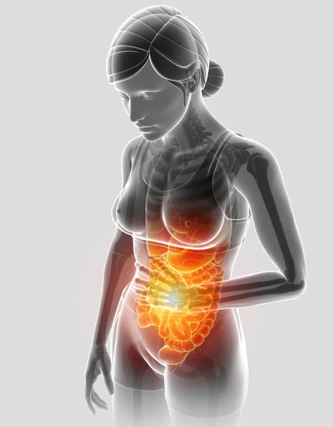 3d ilustração de fêmea sentindo o estômago — Fotografia de Stock