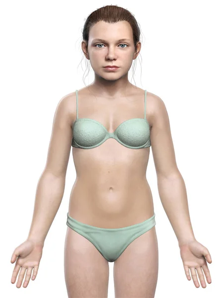 Rendered Illustration Young Girl Body — Stock Photo, Image