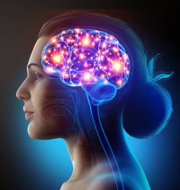 3d rendered, medically accurate illustration of a female active brain clipart