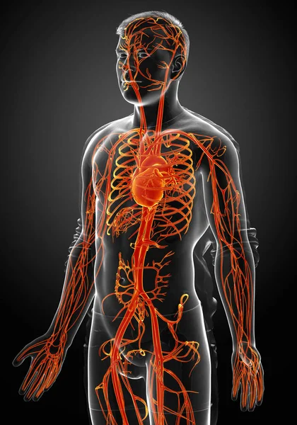 Gjorde Medicinskt Korrekt Illustration Markerad Orange Hane Höra — Stockfoto