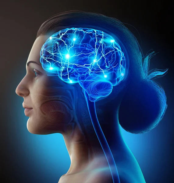 Renderizado Ilustración Médicamente Precisa Cerebro Activo Femenino —  Fotos de Stock