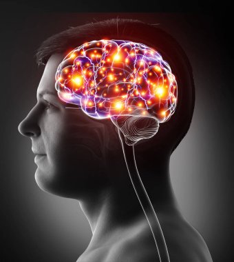 3d rendered, medically accurate illustration of a male active brain clipart
