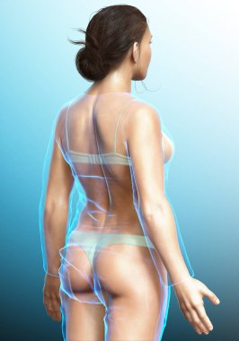 Kadın vücudunun 3D çizimi