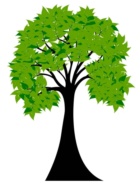 Dekorativa gröna träd silhuett med gröna blad — Stock vektor
