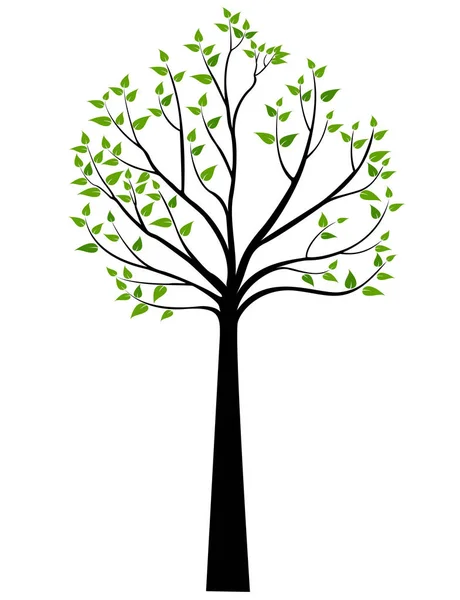 Dekorative Frühlingsbaum-Silhouette mit grünen Blättern — Stockvektor