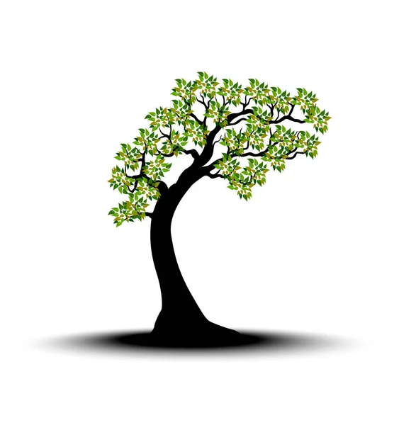 Διακοσμητικό πράσινο δέντρο σιλουέτα με πράσινα φύλλα — Διανυσματικό Αρχείο
