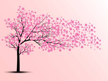 Pembe kiraz ağaçları silüeti