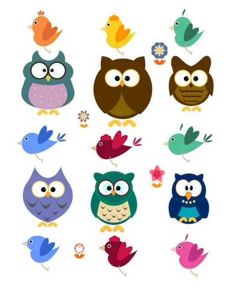 Collection Owl Bird — Stock Vector