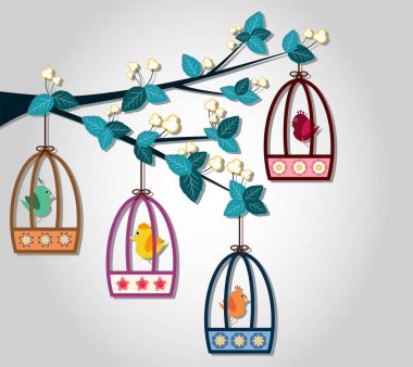 Dört şirin kuş kafesi