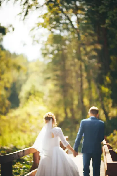 La novia y el novio de la mano —  Fotos de Stock