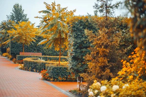 Park bahçeler ağaçlar çalılar yaz Sonbahar