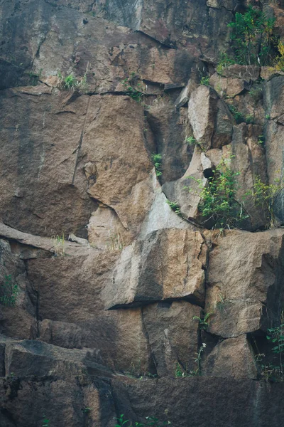 Rock met sparse groei van struiken — Stockfoto