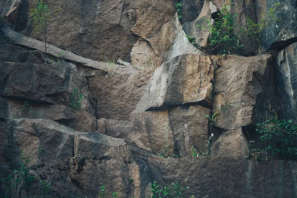 Rock met sparse groei van struiken — Stockfoto