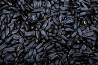siyah ayçekirdeği, doku, arkaplan