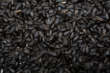 siyah ayçekirdeği, doku, arkaplan