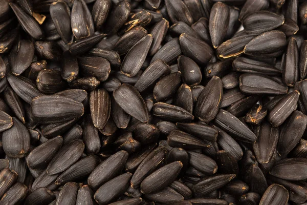 Svart Solrosfrön Närbild Konsistens Bakgrund — Stockfoto