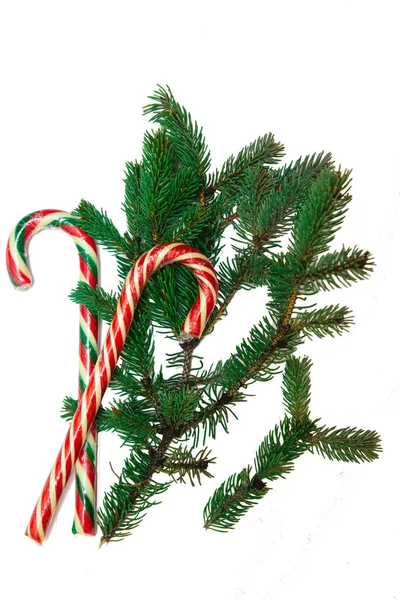 Gałęzie Choinki Świąteczna Laska Lizak Iglaste Drzewo Białym Tle — Zdjęcie stockowe