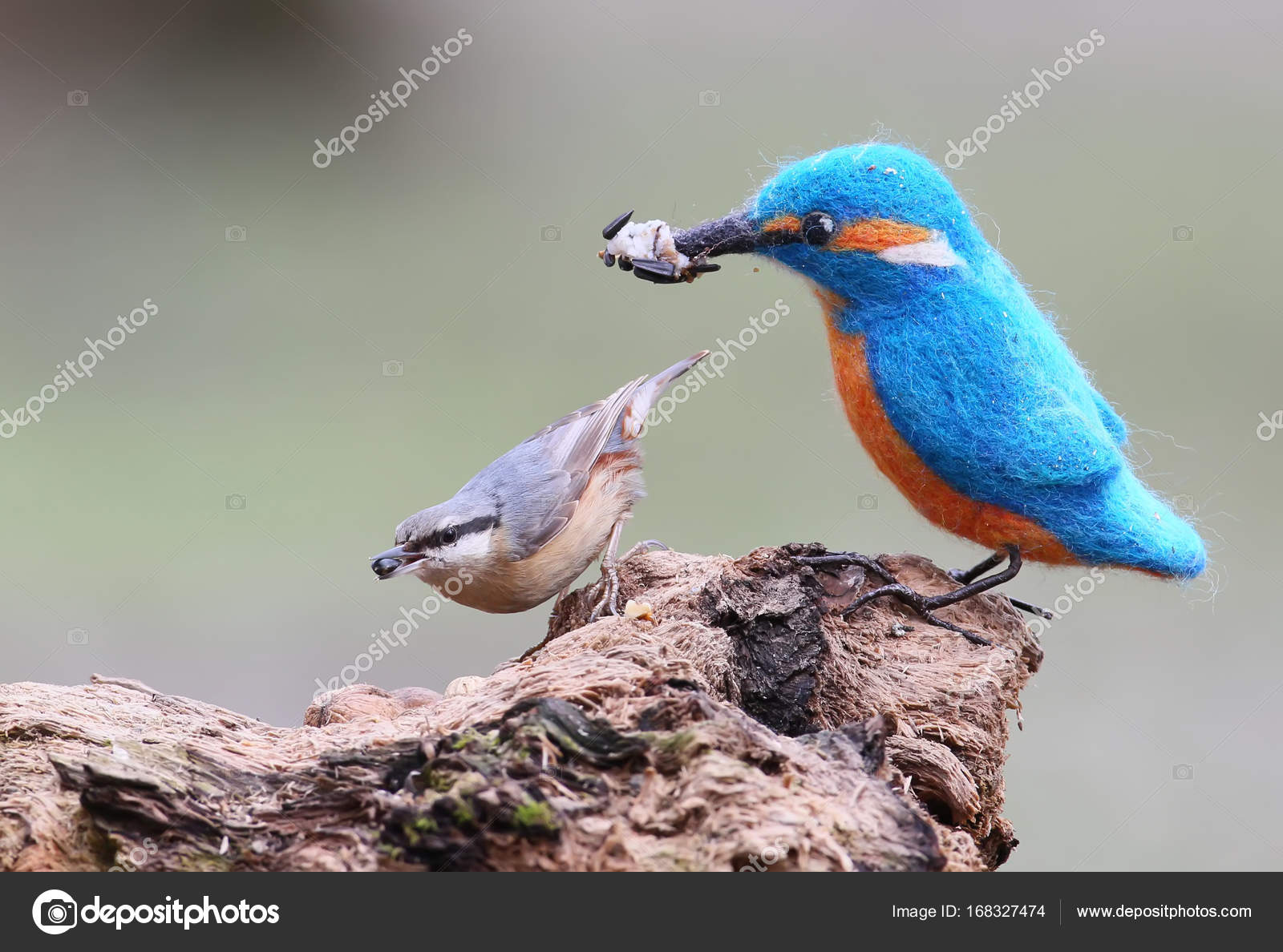 stuffed kingfisher