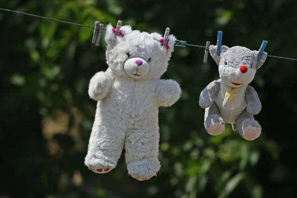 Brinquedos Infantis Pelúcia Pendurar Fio Após Lavagem — Fotografia de Stock