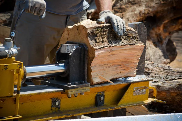 günlükleri ormanda kesme 