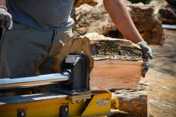 cutting woods in logs