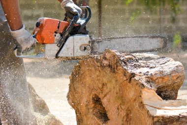 günlükleri ormanda kesme 