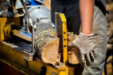 günlükleri ormanda kesme 