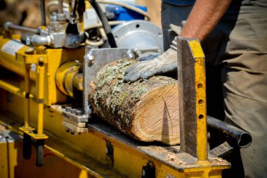 günlükleri ormanda kesme 