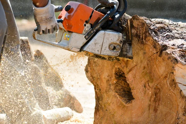 günlükleri ormanda kesme 